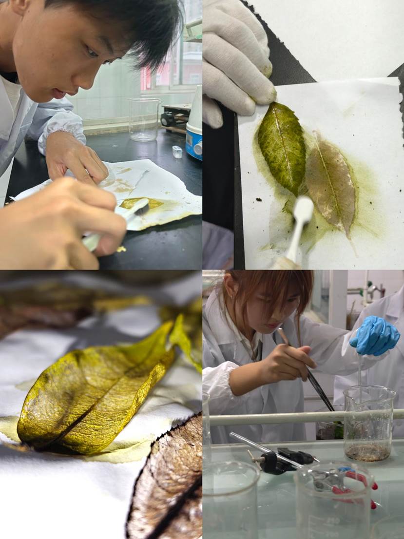 微信图片_20241203003027